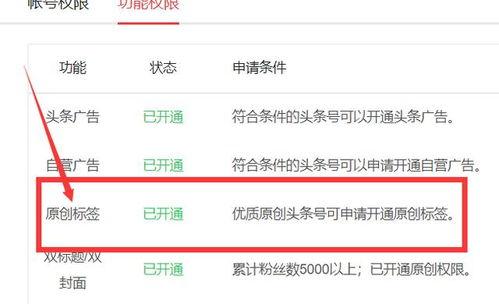 头条号作者有什么标志,彰显身份的荣耀象征