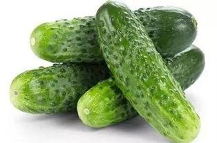 坐瓜怎么吃,解锁夏日清凉美味新体验