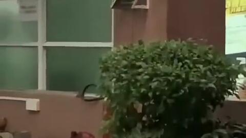 景德镇吃瓜新闻,揭秘瓷器之都的“瓜界风云”