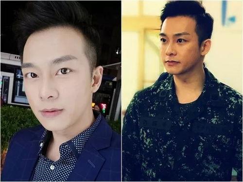 明星虎京,星光璀璨的影视界新星