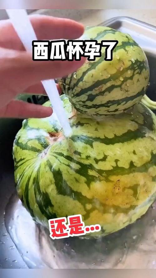 吃瓜得瓜搞笑视频,吃瓜得瓜搞笑视频，带你领略欢乐瞬间