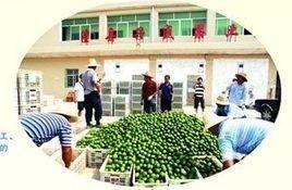 澧县复兴镇头条网,头条网聚焦发展新篇章