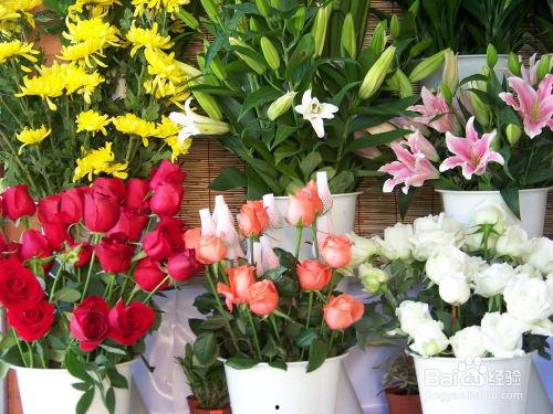 深圳头条插花视频收益,揭秘高收益背后的插花艺术魅力