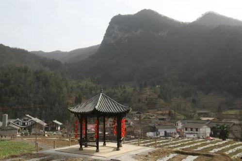 龟山有没有网红,探寻自然美景与网络传播的奇妙交融”