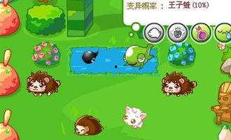 奥比岛半夜吃瓜,揭秘神秘夜生活