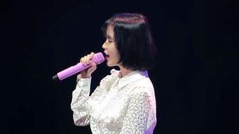 哪个明星喜欢中文歌,华语乐坛的中文歌情缘