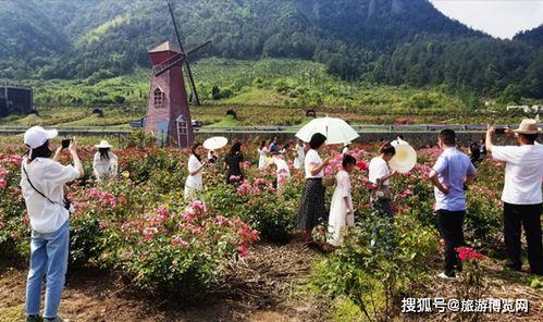 重庆网红景点乡村旅游,探寻山城魅力，体验田园风情