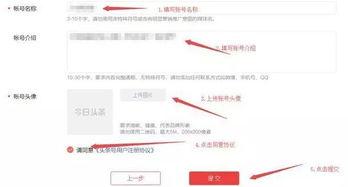 头条认证是怎么赚钱的呢,如何通过认证账号轻松盈利