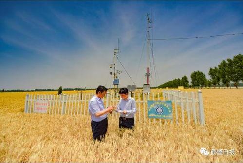 河南鹤壁罗山县新闻头条,聚焦乡村振兴战略下的罗山发展新篇章