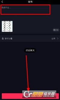 照片在头条怎么上传抖音,抖音上线的独特故事