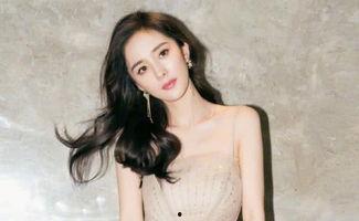 梦见成了明星被人黑,明星光环下的阴影与挑战