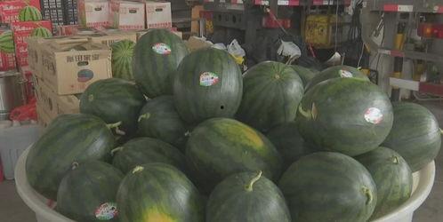 近期热门吃瓜事件邯郸,揭秘近期热门吃瓜事件背后的真相