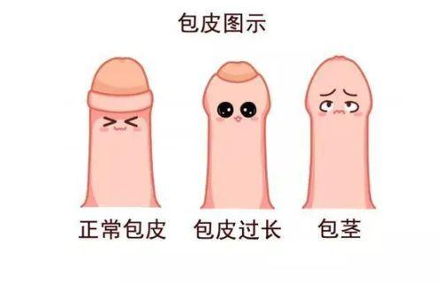 哪位明星得过包皮,从包皮生成到音乐巨星的蜕变之路