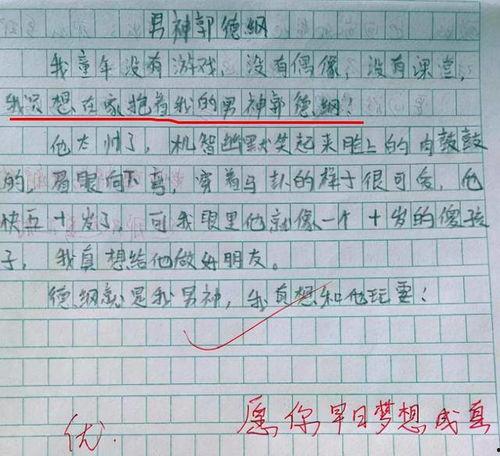 努力才能当明星作文