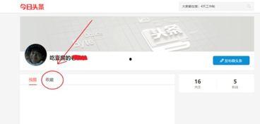如何识别头条里的收藏,如何精准识别热门内容