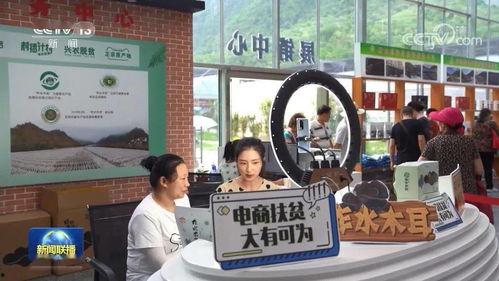 柞水县头条新闻,聚焦乡村振兴新篇章，探索绿色发展新模式