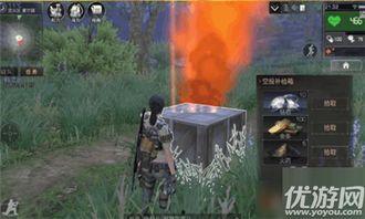 头条游戏明日之后官网,末日生存新篇章即将开启！